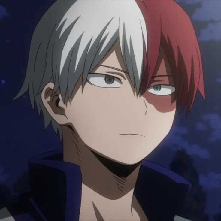 Avatar of Shoto Todoroki (AirCon Hero: Shoto)