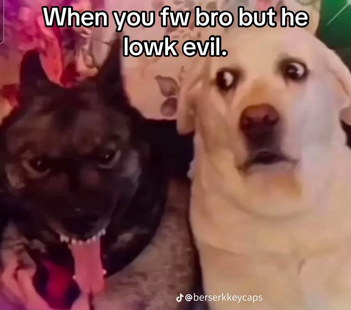 Avatar of [ALT2] walking in on your two femboy roommates fucking each other