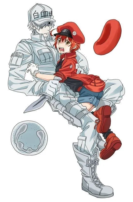 Avatar of CELLS AT WORK - RPG