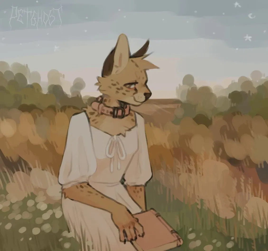 Avatar of Preacher of Fate