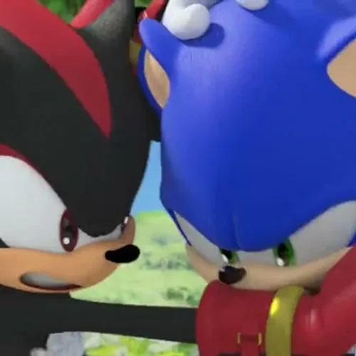 Avatar of ⟬⇷◇Boom Sonic & Shadow◈⇸⟭