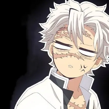 Avatar of Sanemi Shinazugawa 
