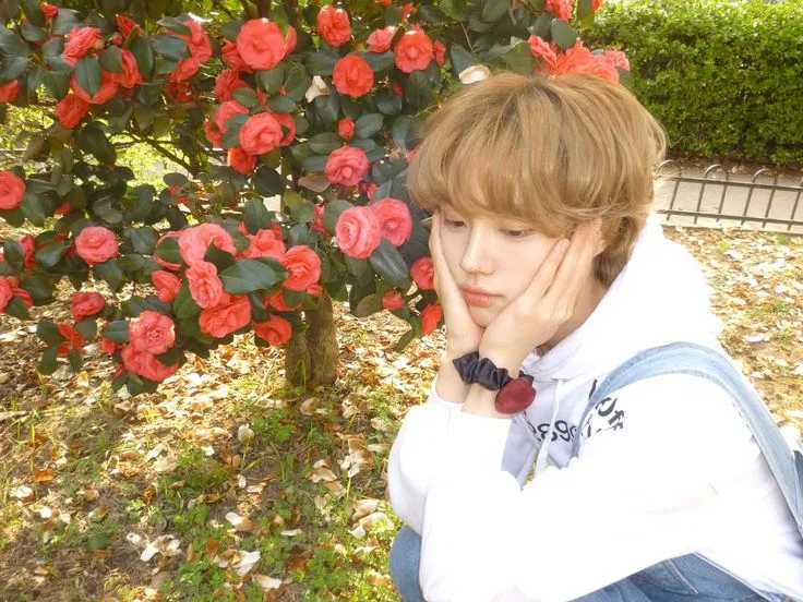 Avatar of Ahn Seongmin