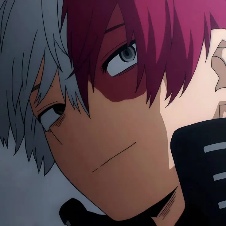 Avatar of Shoto Todoroki (AirCon Hero: Shoto)