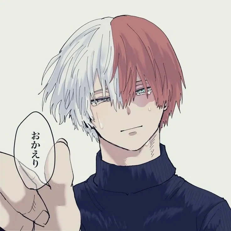 Avatar of Shoto Todoroki