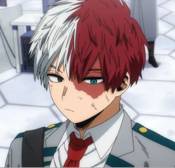 Avatar of Shoto todoroki 