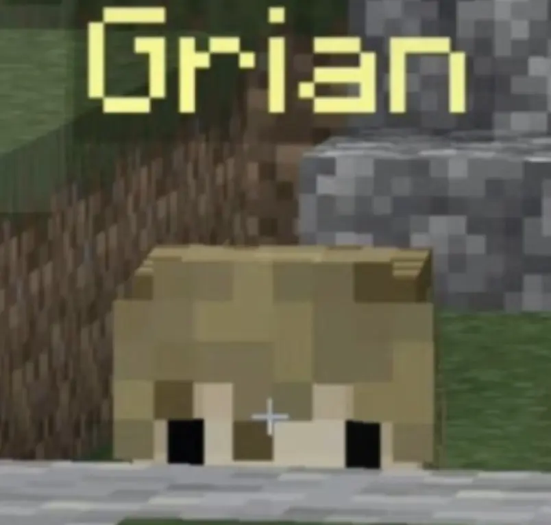 Avatar of Wild Life Grian