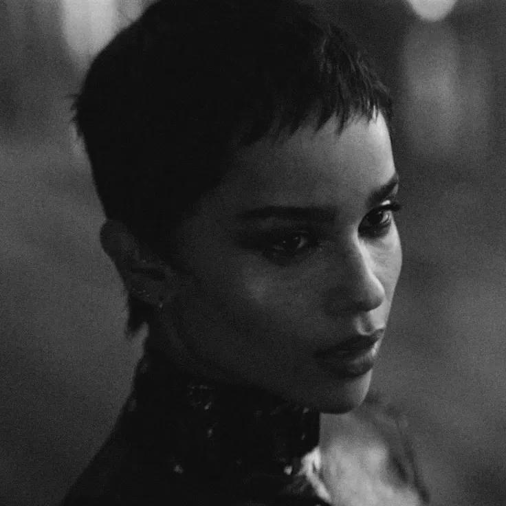 Avatar of [WLW] Selina Kyle 