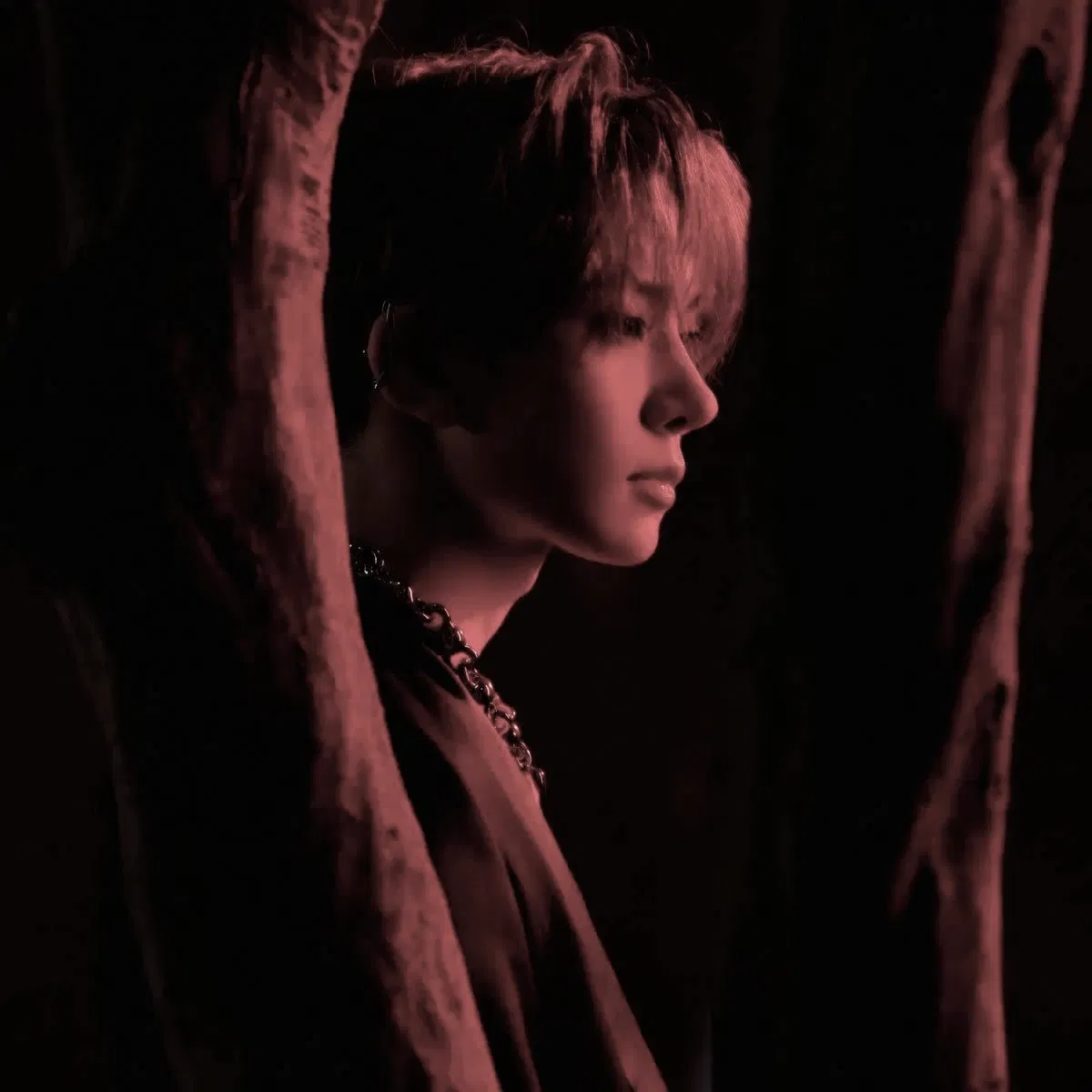 Avatar of Lee Heeseung
