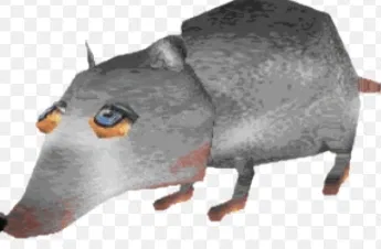 Avatar of Literally just a rat in your house