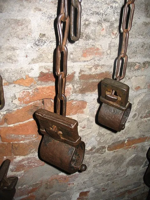 Avatar of The Furry Shackle