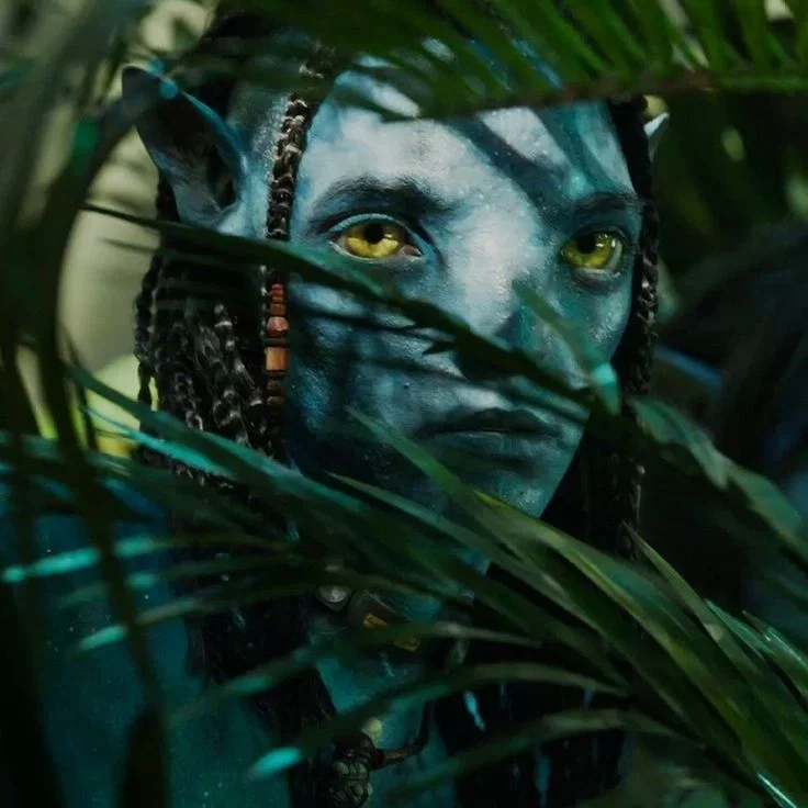 Avatar of LO'AK SULLY