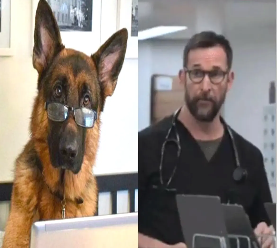 Avatar of Dr. Michael “Robby” Robinavitch
