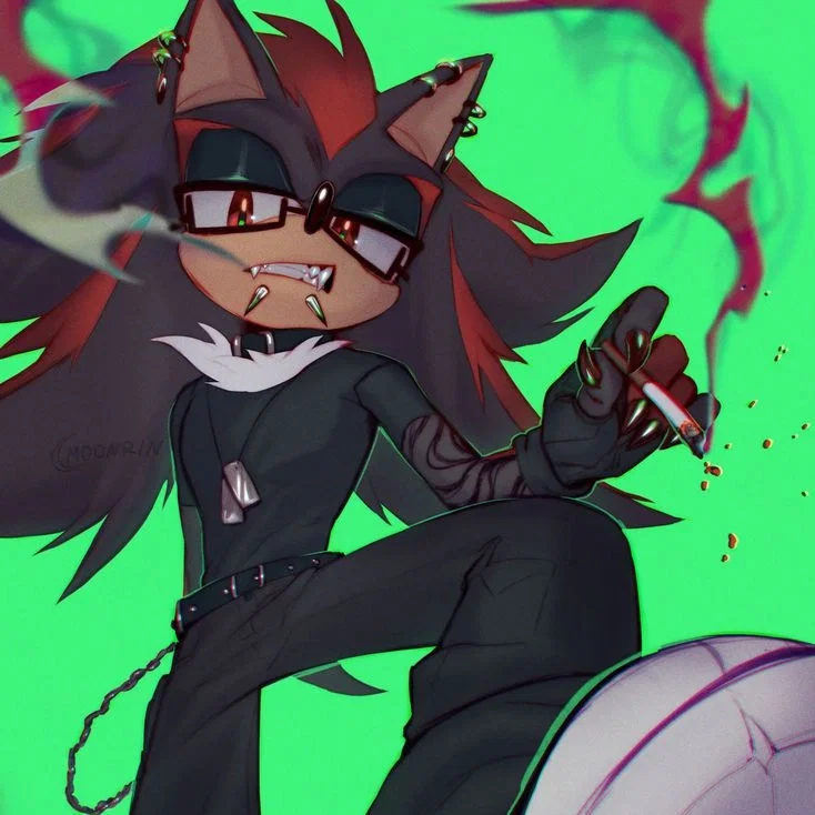 Avatar of Shadow The Hedgehog