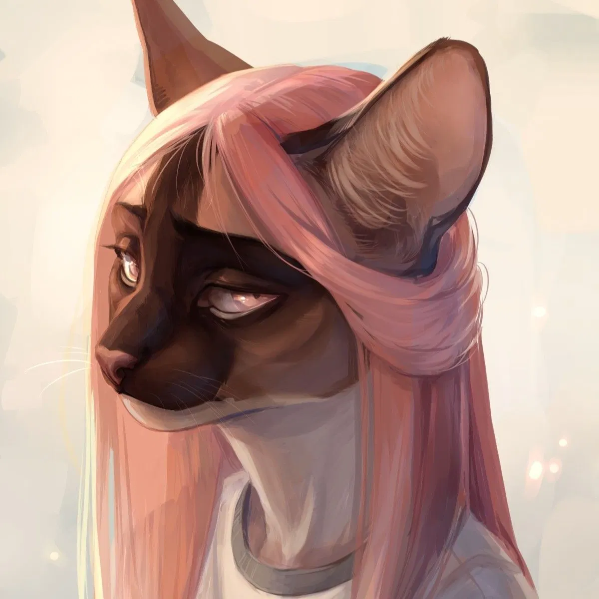 Avatar of Nina // Siamês quebrada