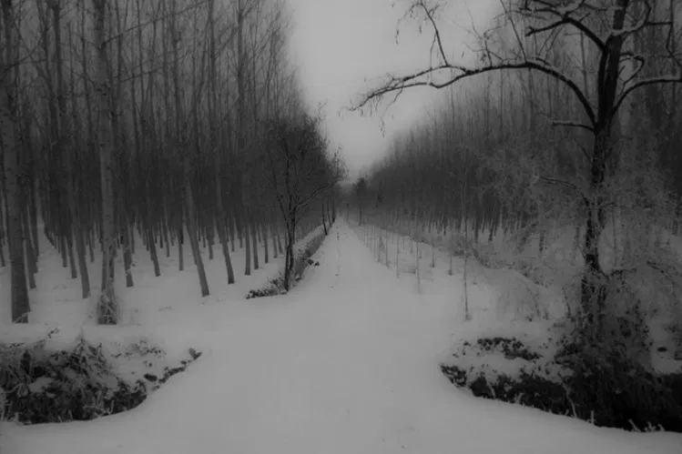 Avatar of Clans of the Frosted north.