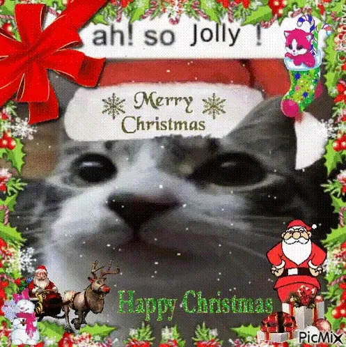 Avatar of Merry Christmas!!!
