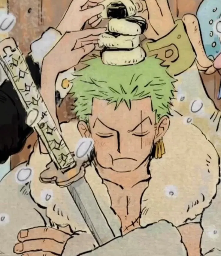 Avatar of Roronoa Zoro || 🌱⊹ ࣪ ˖