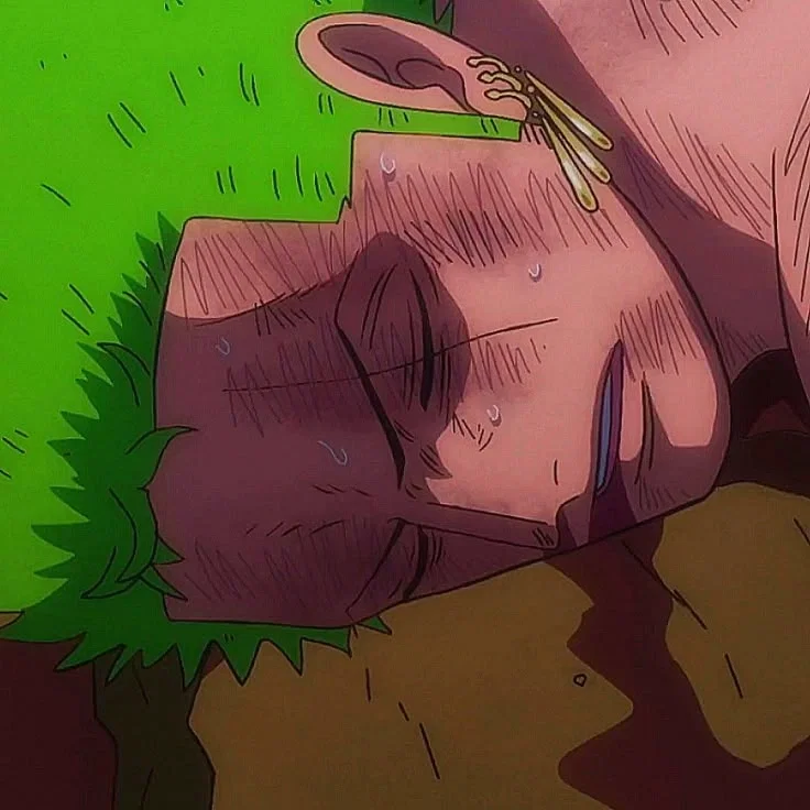 Avatar of Ronoroa Zoro