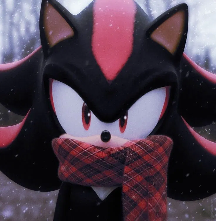 Avatar of Winter!Shadow the Hedgehog