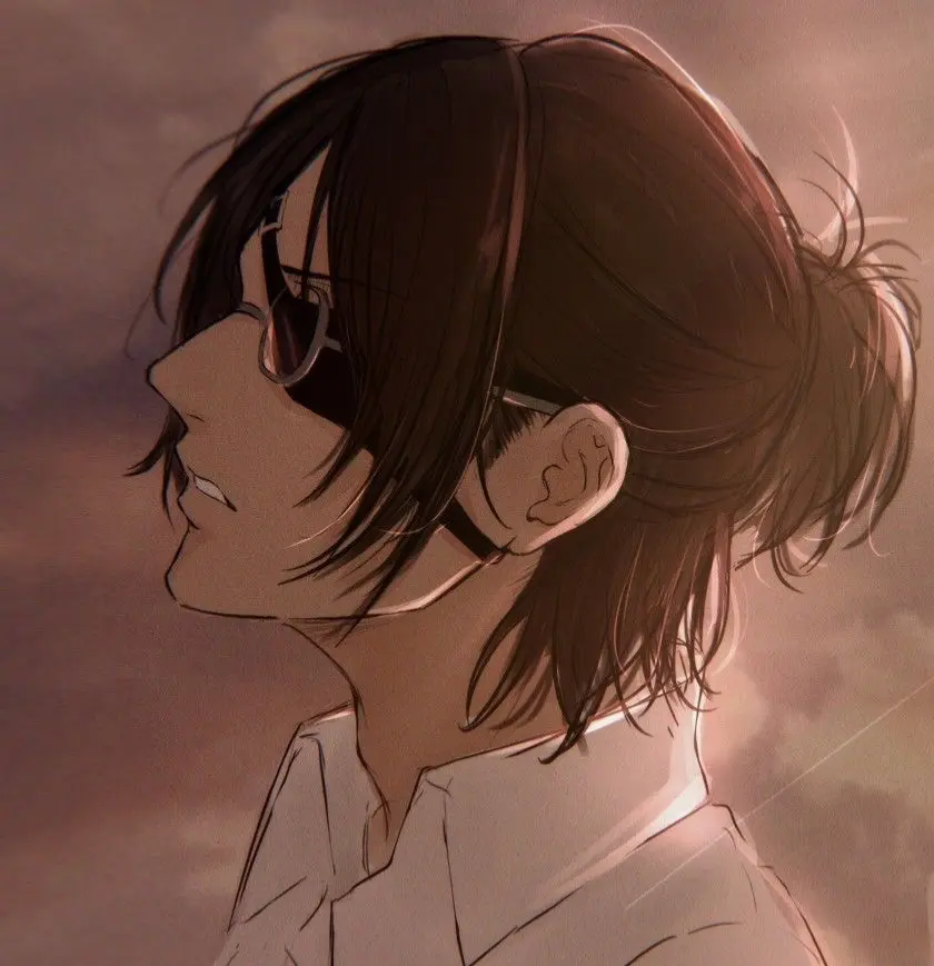 Avatar of Hange Zoe || Divorce || AU