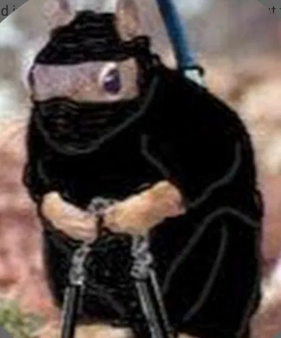 Avatar of Disparu