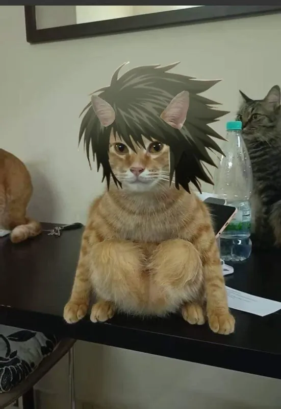 Avatar of Catboy L Lawliet