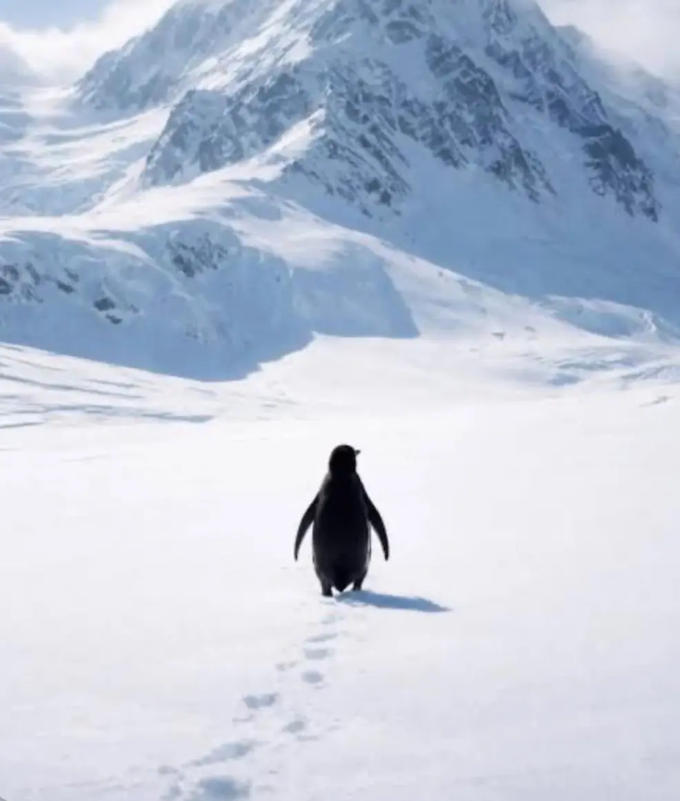 Avatar of Nihilist Penguin