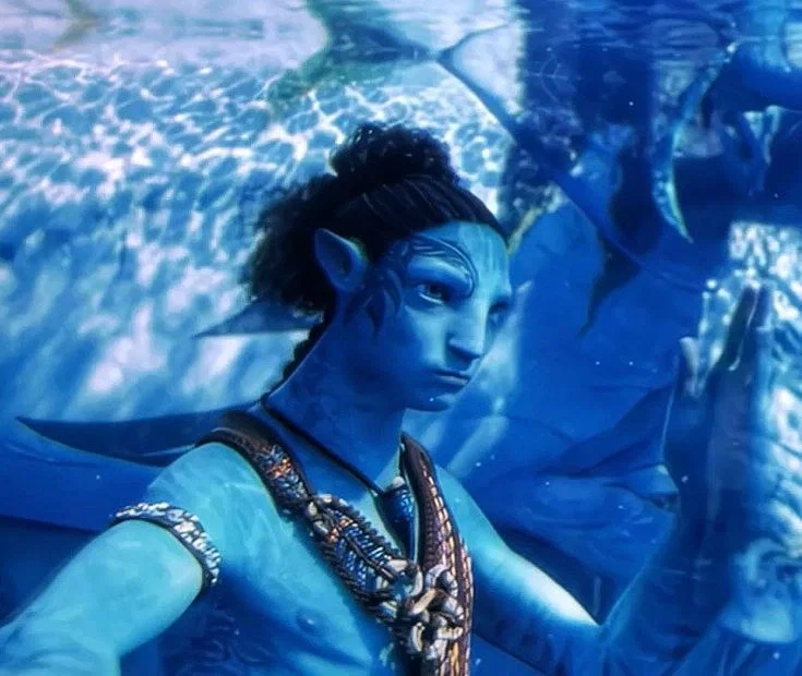 Avatar of Aonung te Tsika'u Tonowari'itan