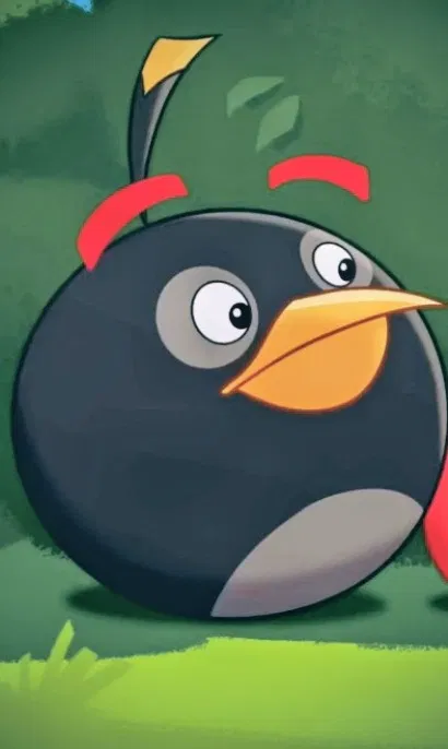 Avatar of Bomb - Angry Birds (Toons)