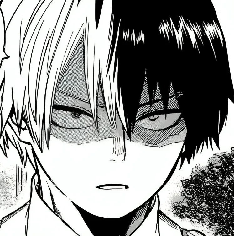 Avatar of ❅ Shoto Todoroki ঌ