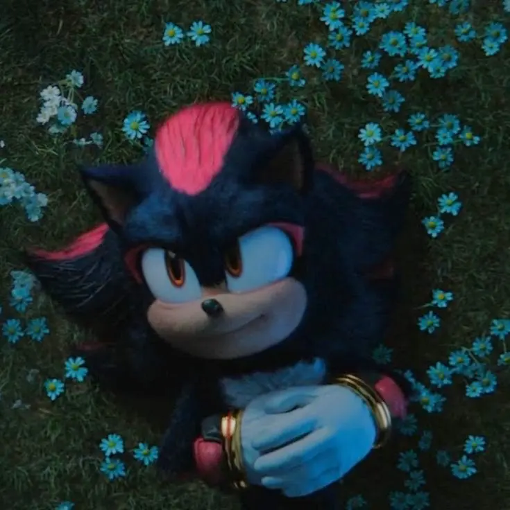 Avatar of Shadow The Hedgehog