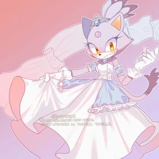 Avatar of Blaze the Cat – [Your Wedding Night]