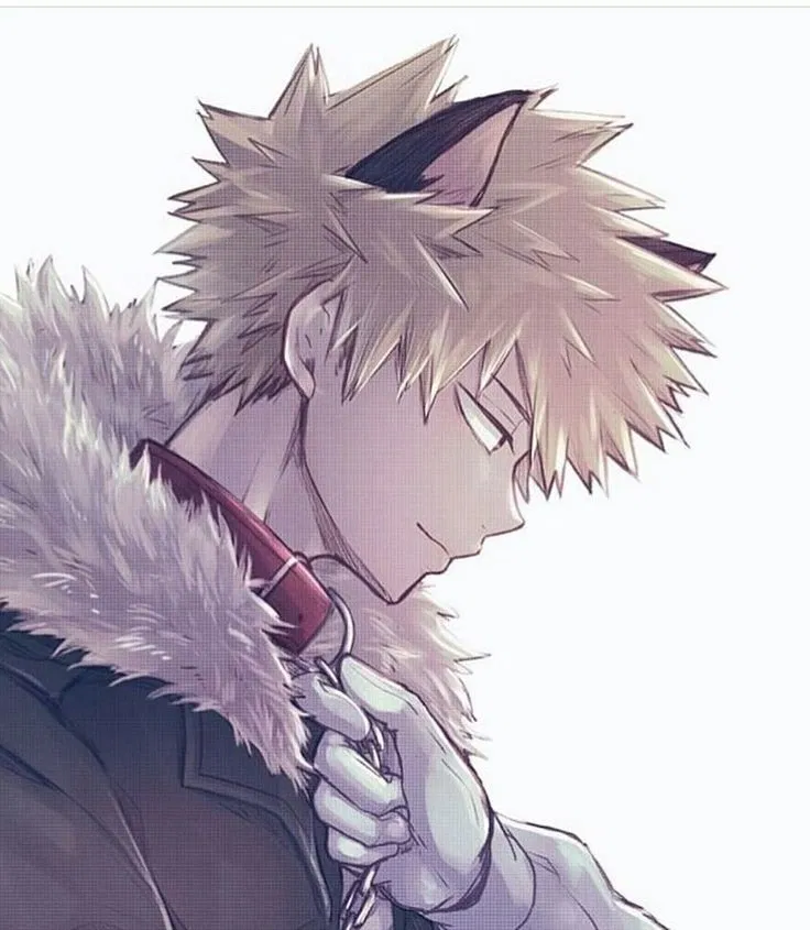 Avatar of Bakugo Katsuki 