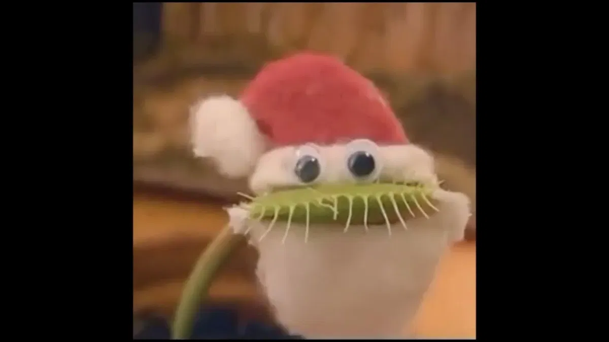 Avatar of Kinkmas Announcement
