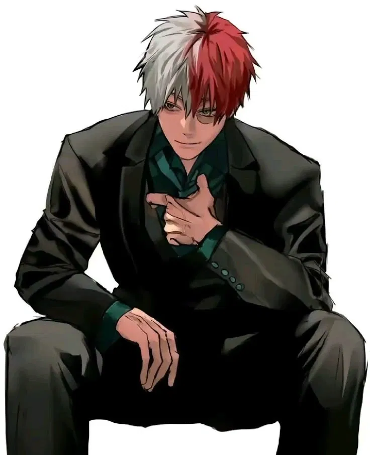 Avatar of Step-Brother | Shoto 