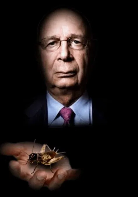 Avatar of Klaus Schwab