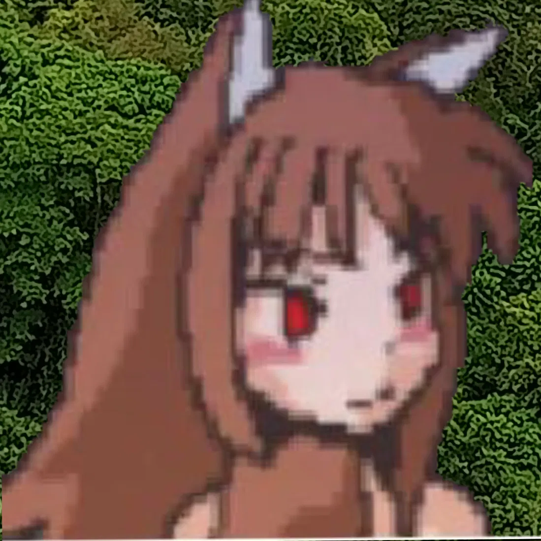 Avatar of Nona 