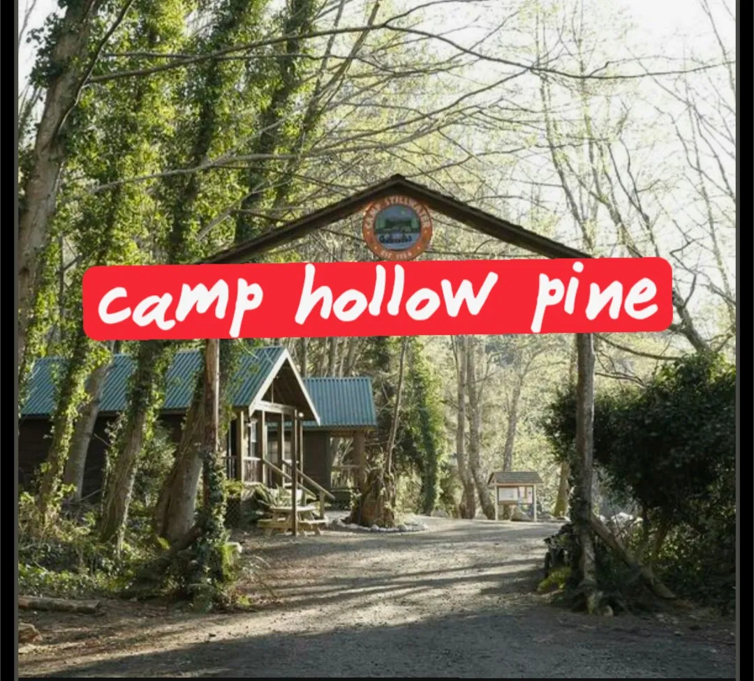 Avatar of Camp hollow Pine