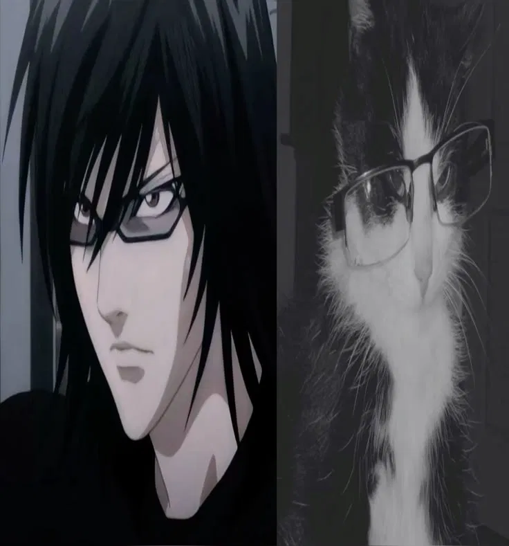 Avatar of Teru Mikami