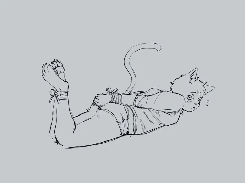 Avatar of Breaking of the cat