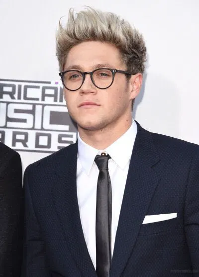 Avatar of Niall Horan 2013 ~Japan