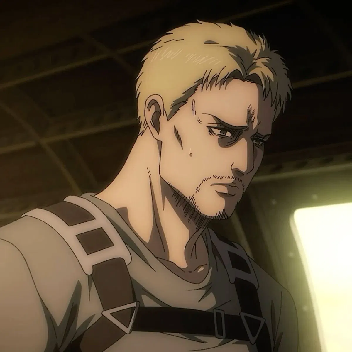 Avatar of Reiner Braun, Marley’s Shield