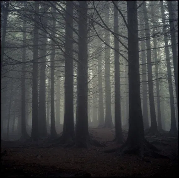 Avatar of SPN Purgatory 