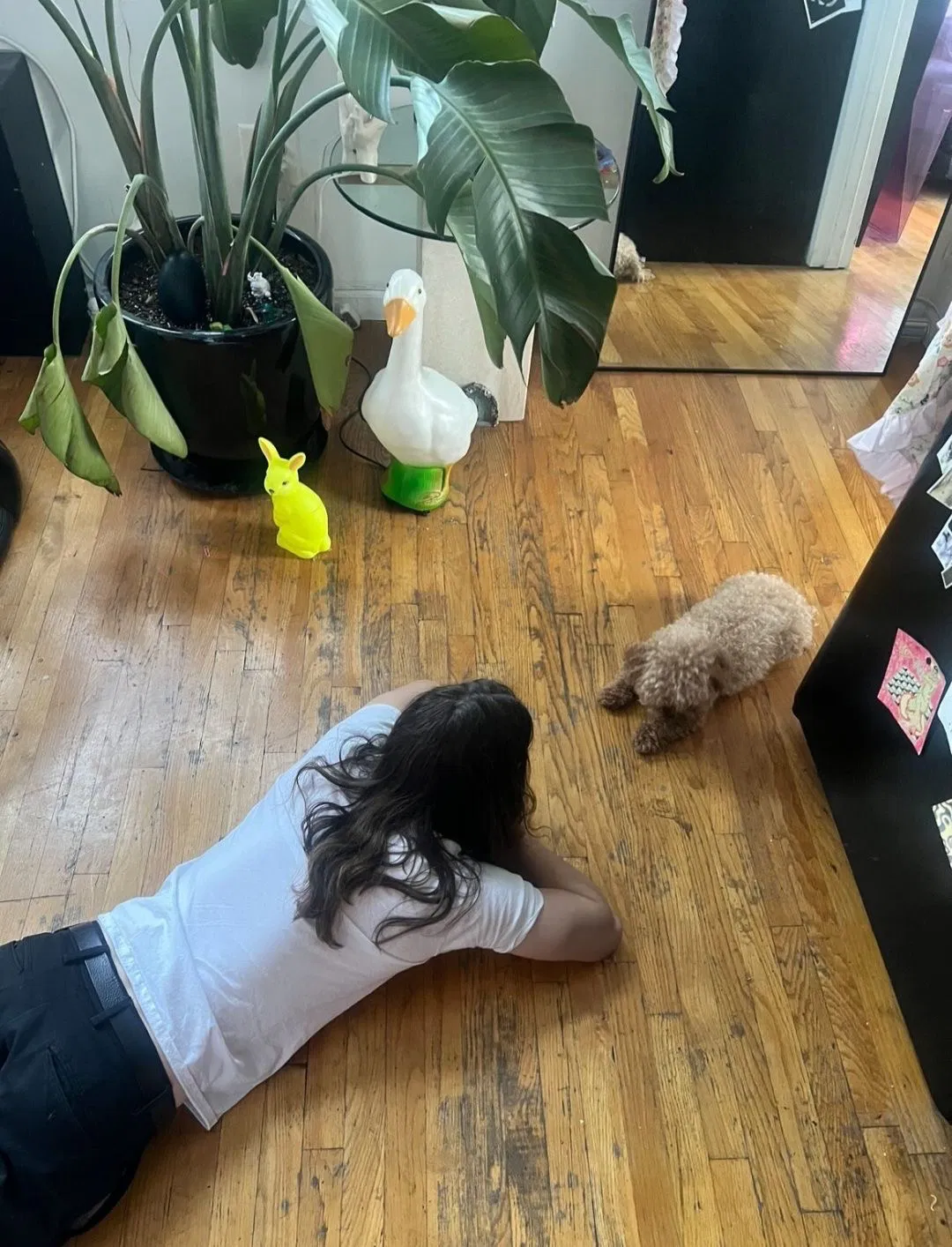 Avatar of Rory Culkin