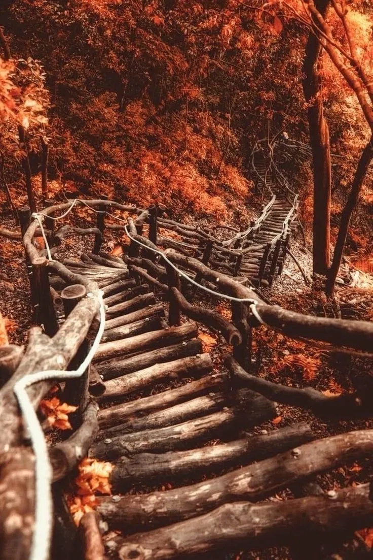 Avatar of Russetwood Crossing