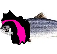 Avatar of Emo fish with glases and gay hair