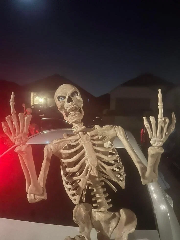 Avatar of IVAN THE COOL SKELETON