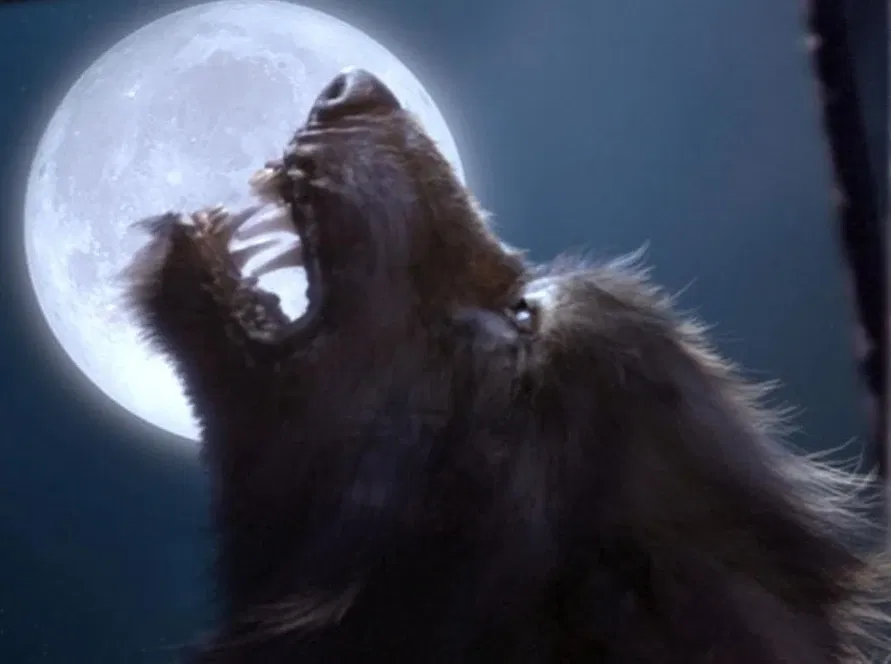Avatar of Jeremy The Hungry Werewolf