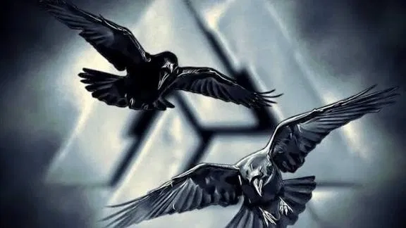 Avatar of Hugin x Munin / Valheim